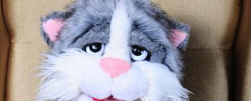 Opowieści Kota Śpiocha pamiętaczek