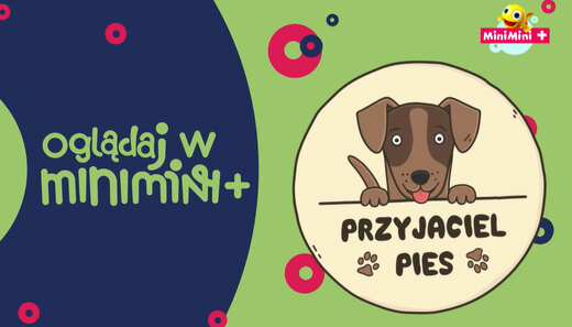 Przyjaciel Pies - oglądaj w MiniMini+