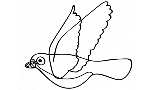 Encyklopedia - ptaki