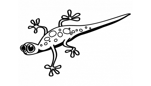 Encyklopedia - płazy