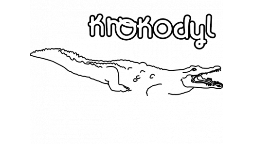 Dzień Rybki - Krokodyl