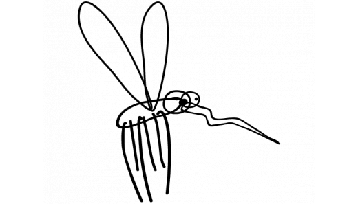Encyklopedia - owady