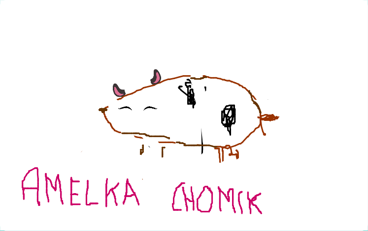 Antonina