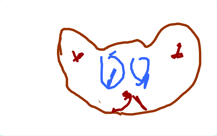 Praca