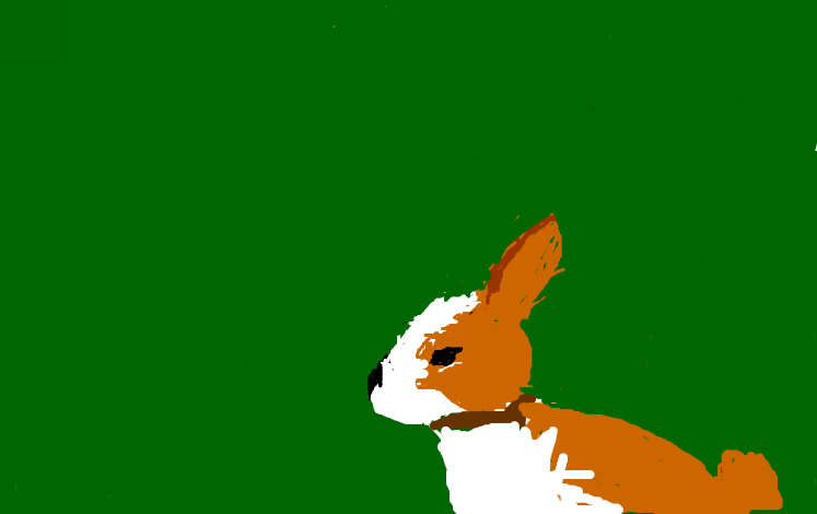 Praca