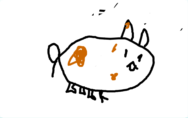Igor 